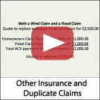Duplicate-Claims